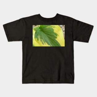 Hosta  'Wide Brim'  Plantain lily Kids T-Shirt